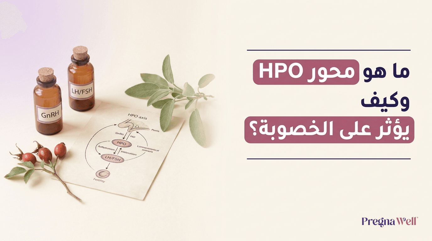ما هو محور HPO وكيف يؤثر على الخصوبة؟